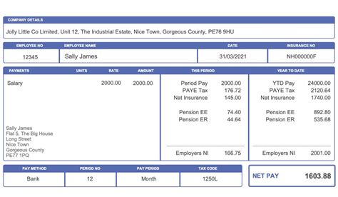 ibex payslip